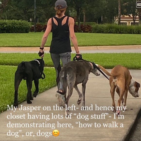 Meet your Posher, Rachel - Picture 2 of 3